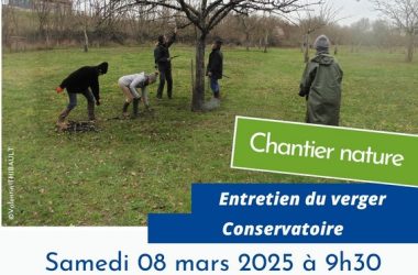 08-03-Chantier nature Cen