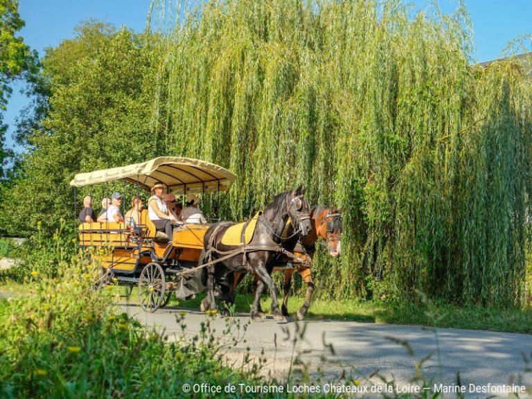 Horse and carriage rides – Loches and Beaulieu-Les-Loches-1