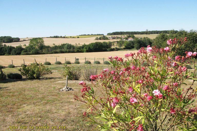 Gîte de la Pilaudière-15