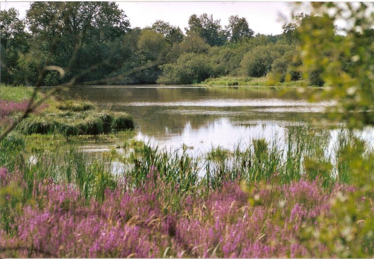 La Tour du Château des Etangs-21