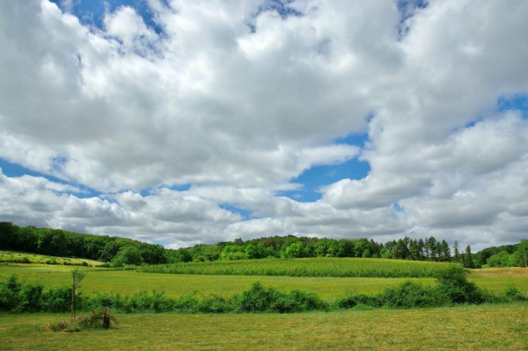 Le Chêne Vert-21