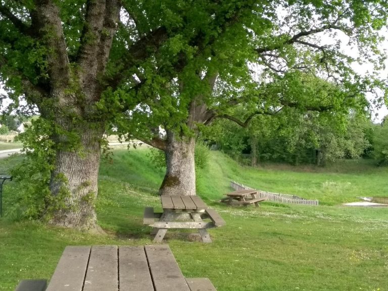 L’Etang des Roseaux-42