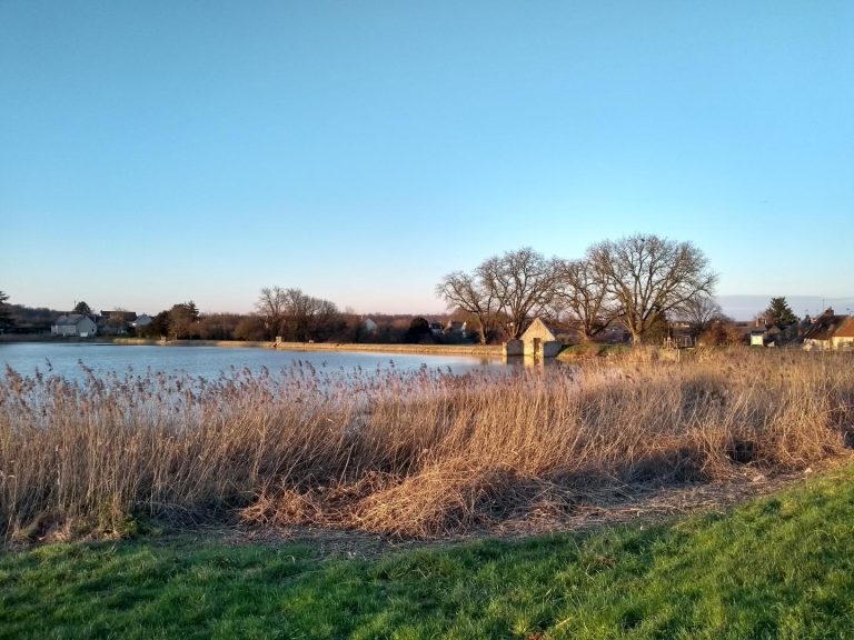 L’Etang des Roseaux-40