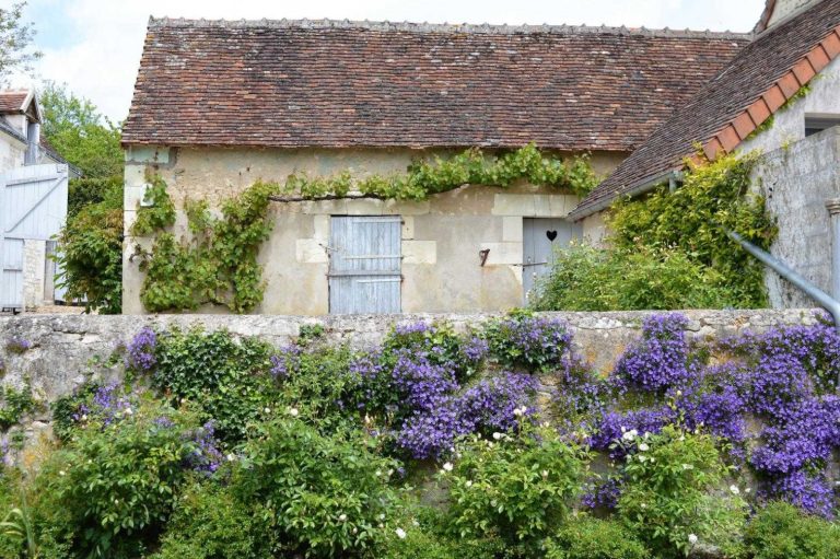 La Maison des Hortensias-33