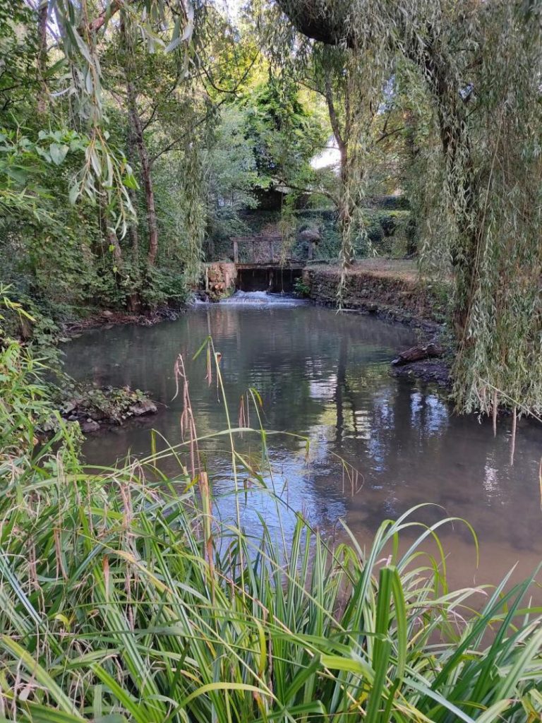 Le Moulin de Mondoux-32