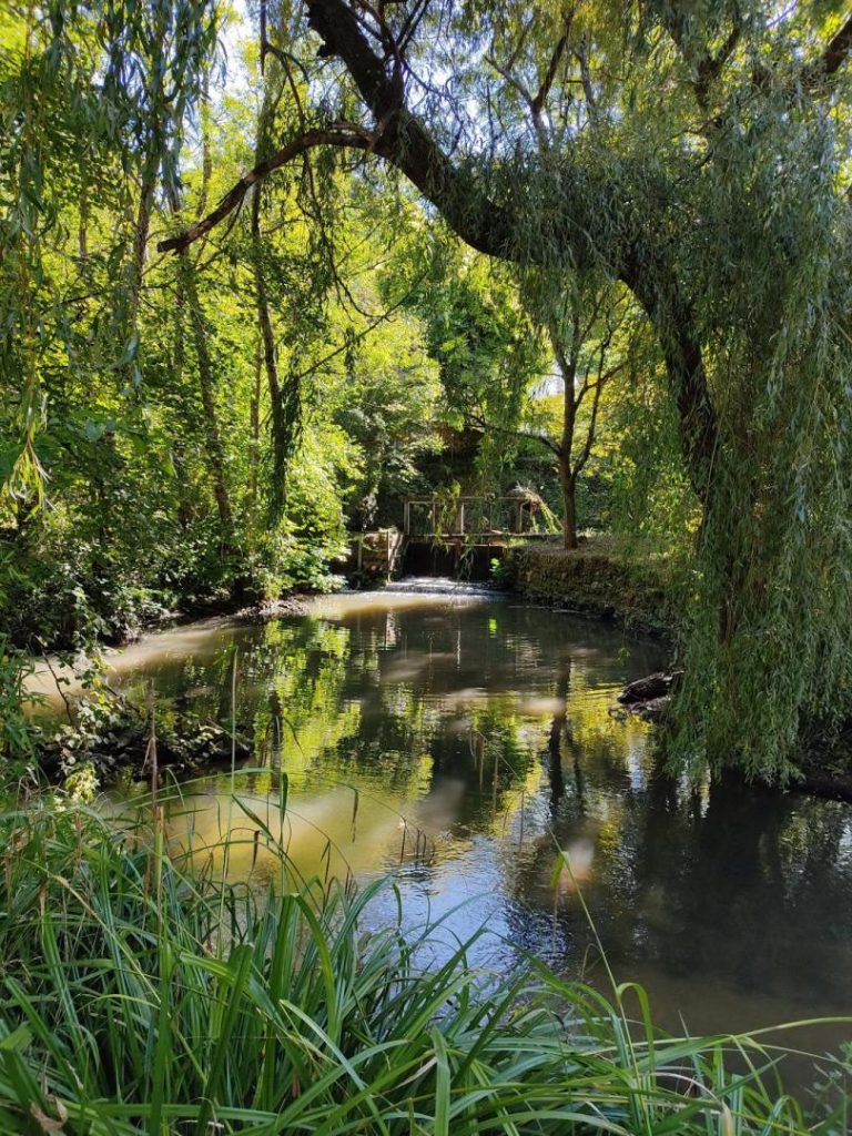 Le Moulin de Mondoux-27