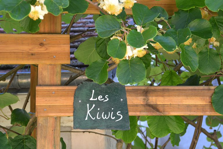 Gîte Les Kiwis-2