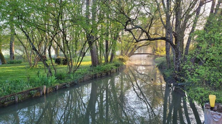 Le Moulin des Foulons-36