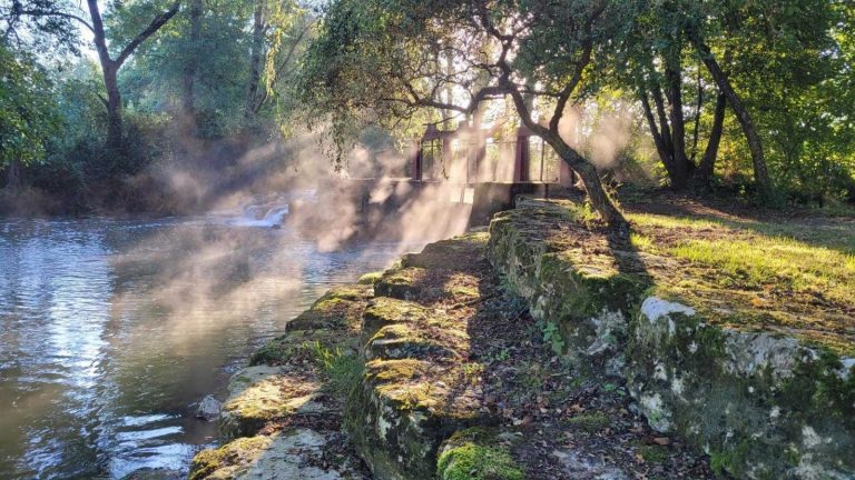 Le Moulin des Foulons-2