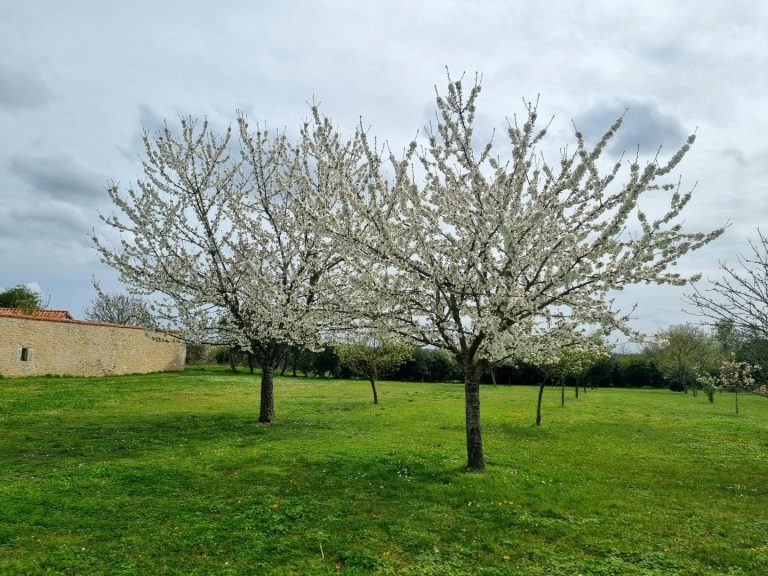 Le Riche lieu de Mosson-28