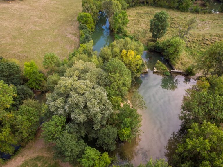 Curieuses Visites – Au fil du canal-1