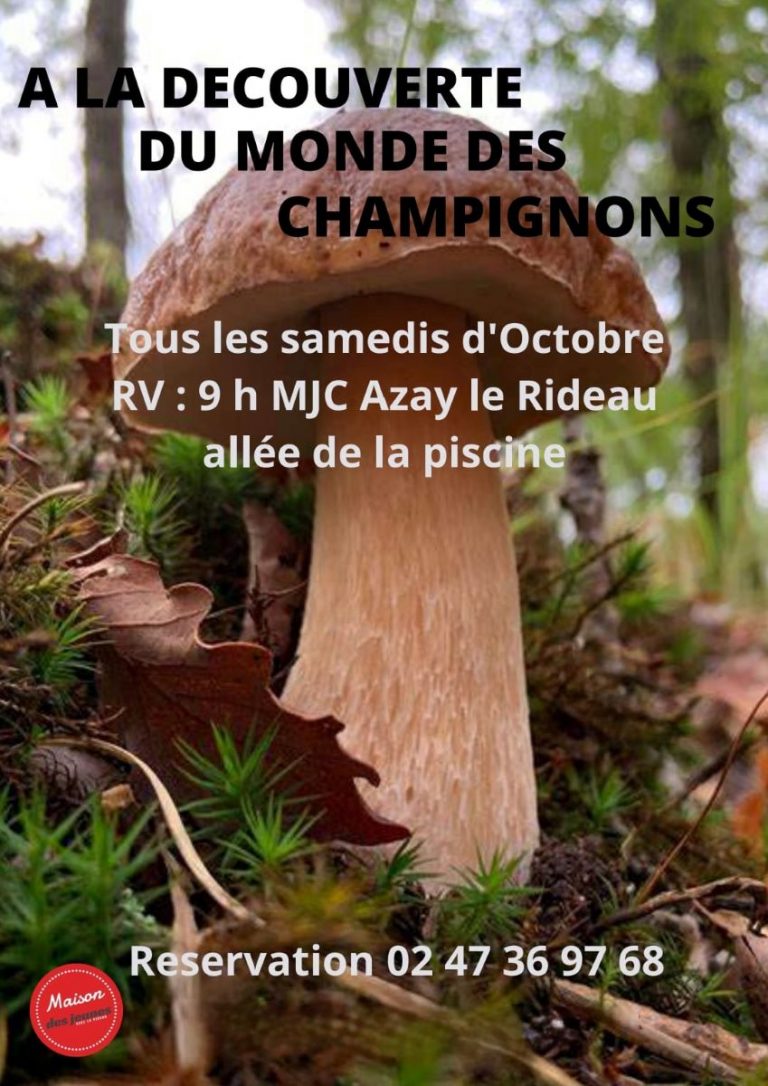 Sortie champignon en Touraine-1