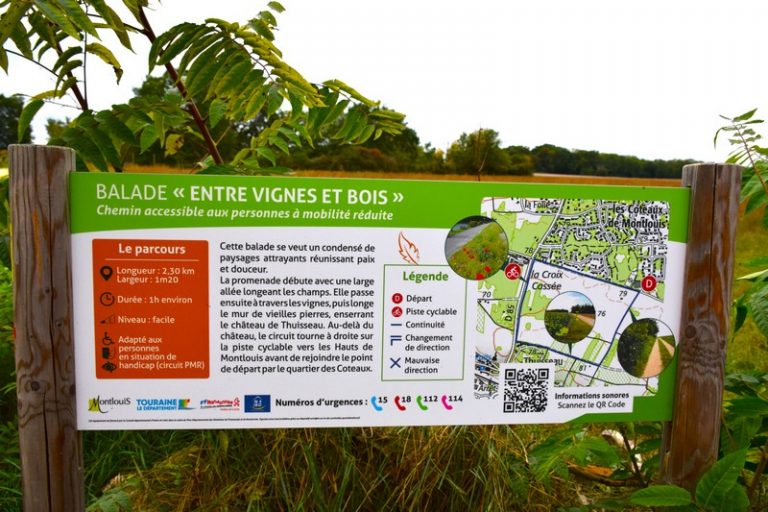 Balade Entre Vignes et Bois – balade PMR-2