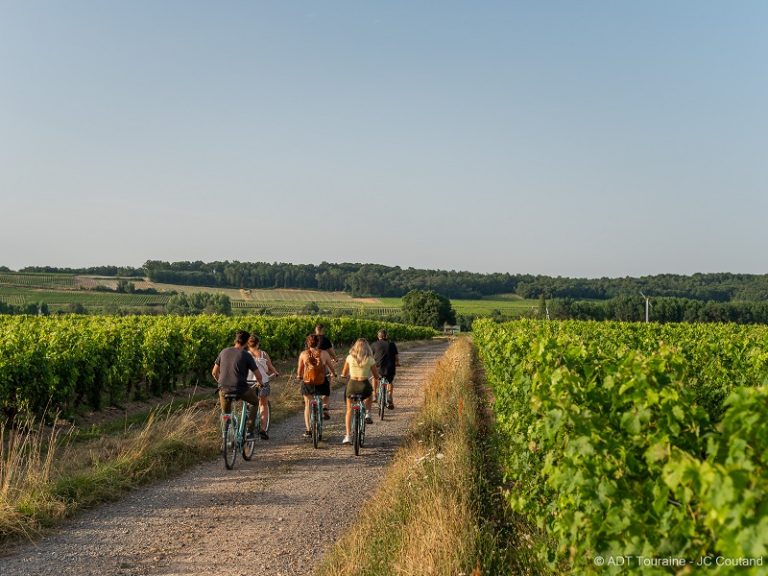 Bicycle Rentals – (CLAN) Chinon Loisirs Activités Nature-3