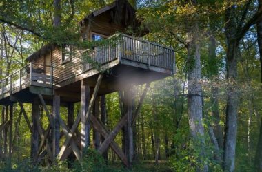 Cabane dans les bois – Château de Razay 1