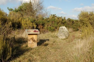 Camp des romains chantier bénévole