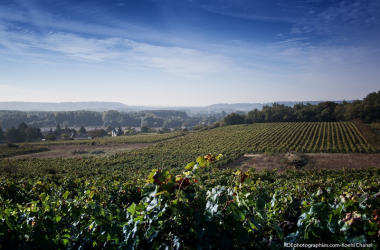 Pierre et Bertrand Couly – Chinon vineyard, France.