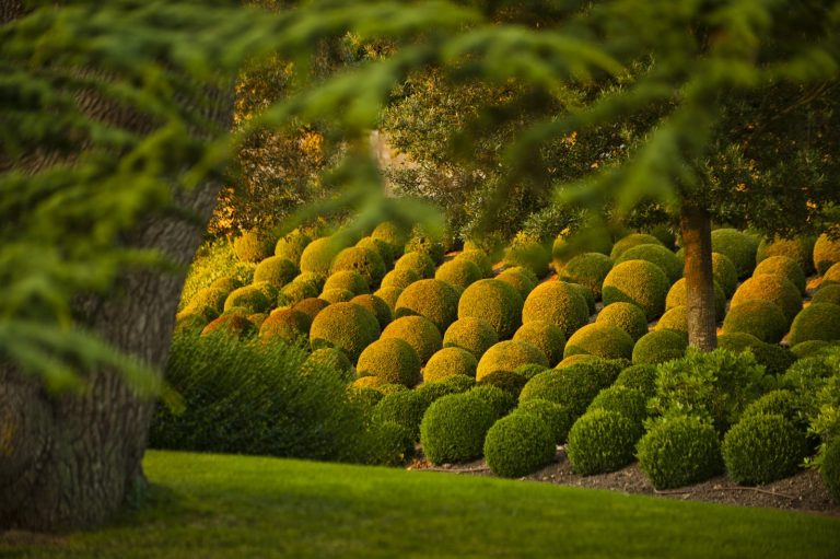 Les petits déjeuners “Réveils-jardin” au château royal d’Amboise-1