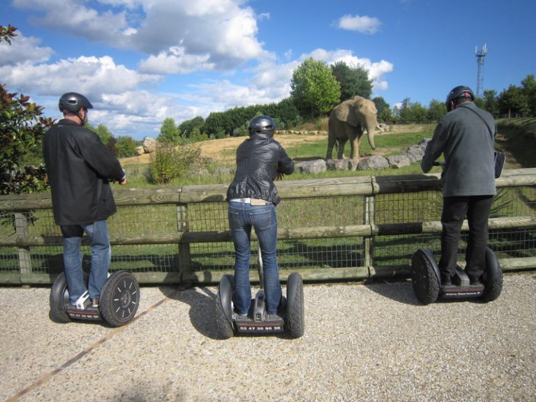 Segway Riding by Freemove-7