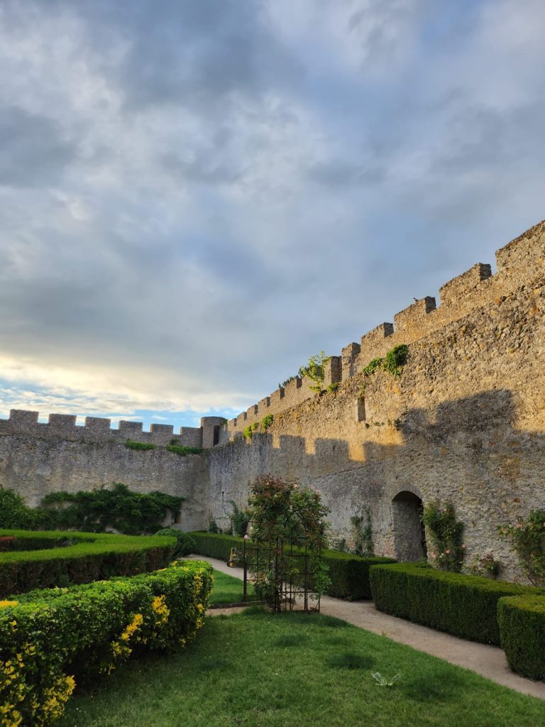 Château of Fontenay-6