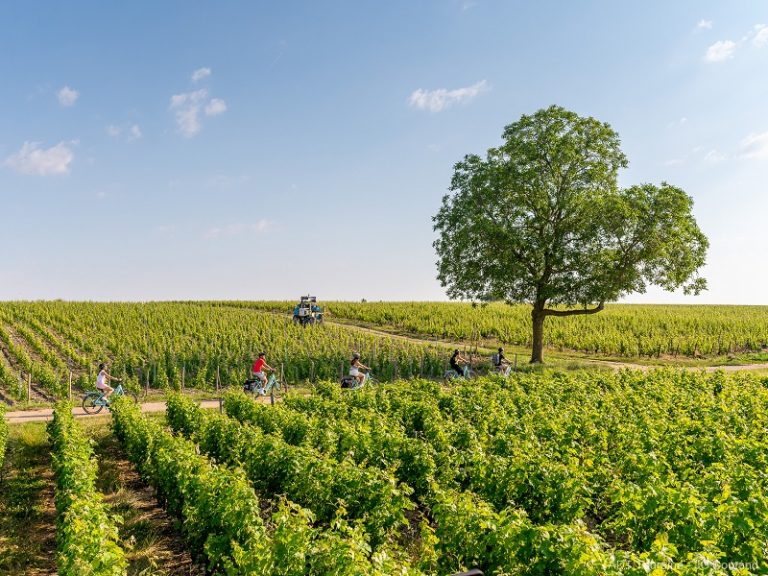 Loire à vélo Mosnes-Tours via Amboise-1