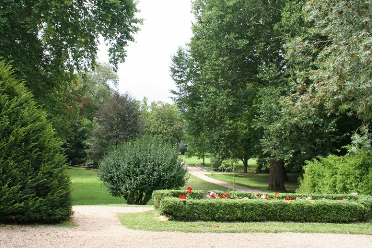 Château of la Guerche-4