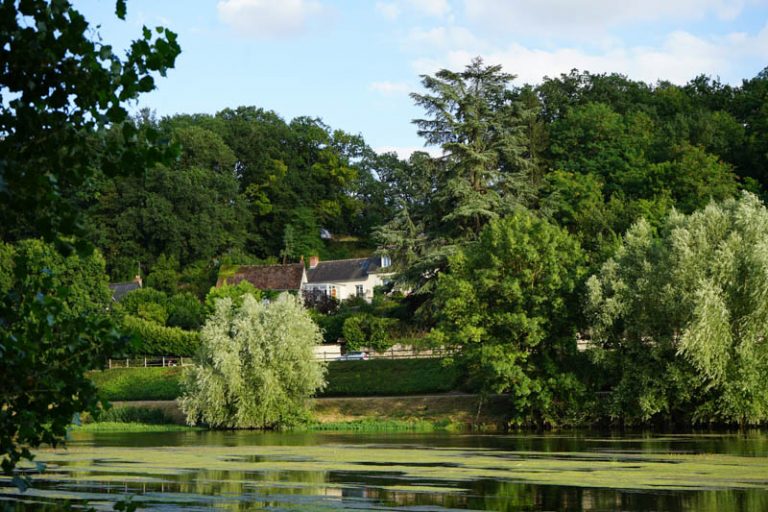 Domaine La Rochardière-13