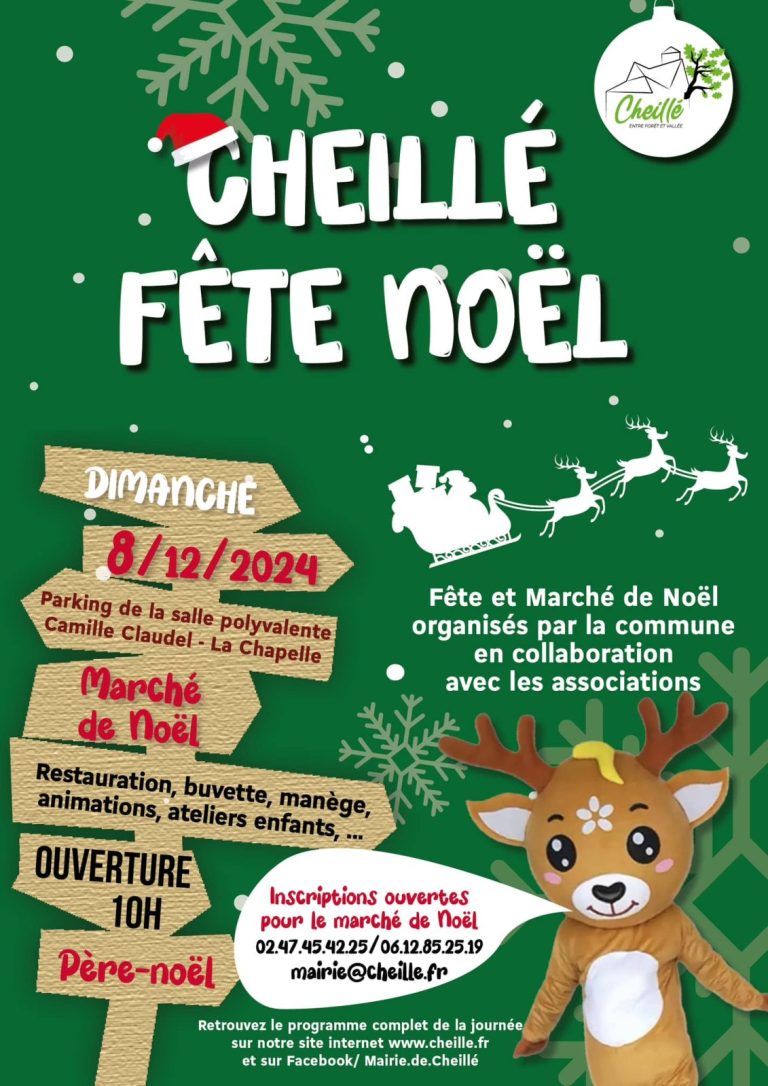 Marché de noël de Cheillé-1