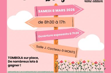 TVI – 8.03 Monts Vide grenier