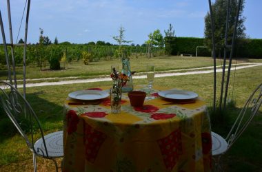 Table et vignes