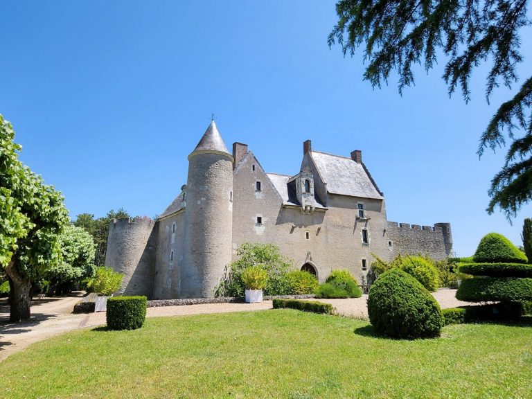 Château of Fontenay-4