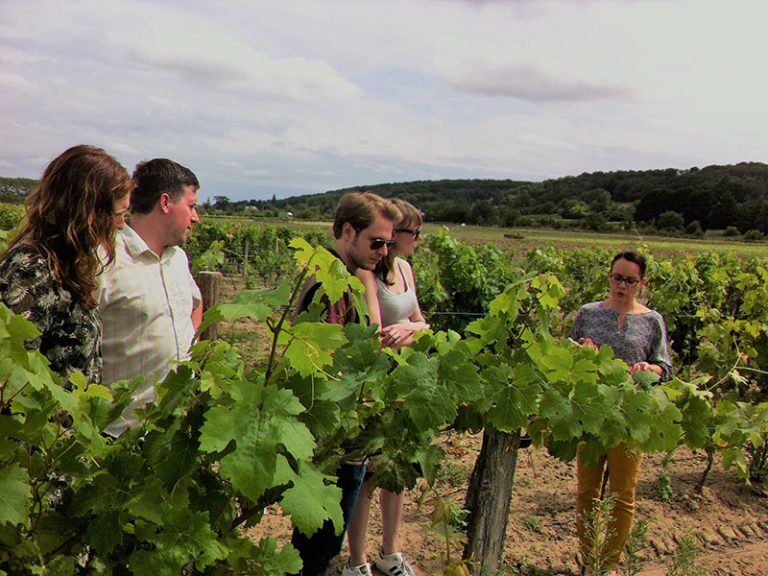 À La Française ! Loire Valley-8