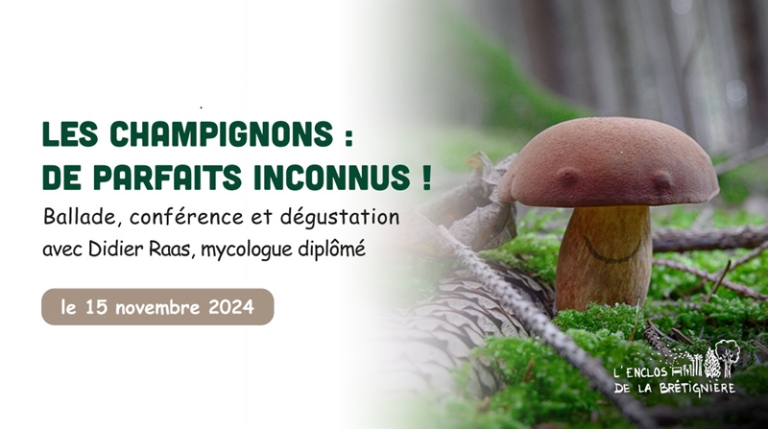 Sortie-conférence sur les champignons-1