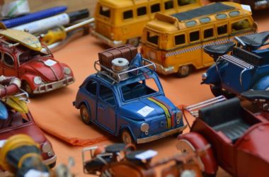 collectionneur-vehiculesminiatures-loches-valdeloire