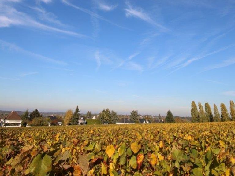 Le Domaine de la Gabillière-1