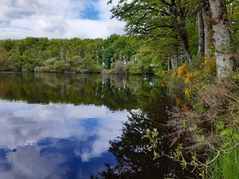 Espace Naturel Sensible des Rouchoux-4