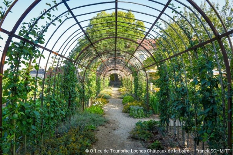 The Presbytery garden of Chédigny-3