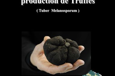 marche-aux-truffes-2017-2018-1