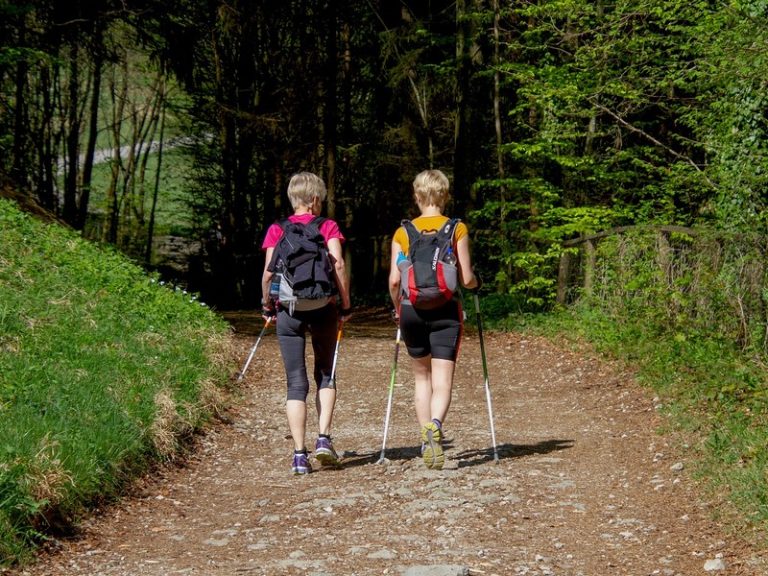 Week-end Sport Nature Bourgueillois : Marche Nordique-1