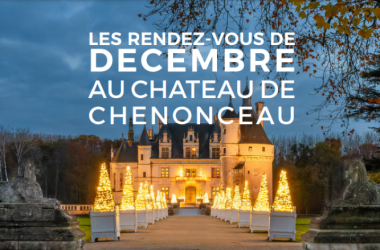 napdc chenonceau