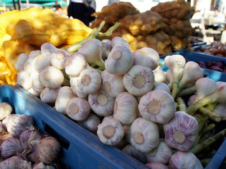 Marché de Château-la-Vallière-1