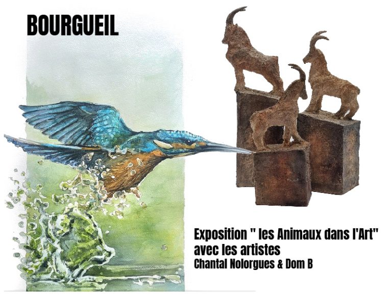 Exposition ” les Animaux dans l’Art” avec les artistes : Chantal Nolorgues & Dom B-1