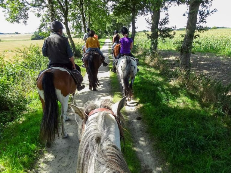 La Bergauderie – Horse riding Centre-1