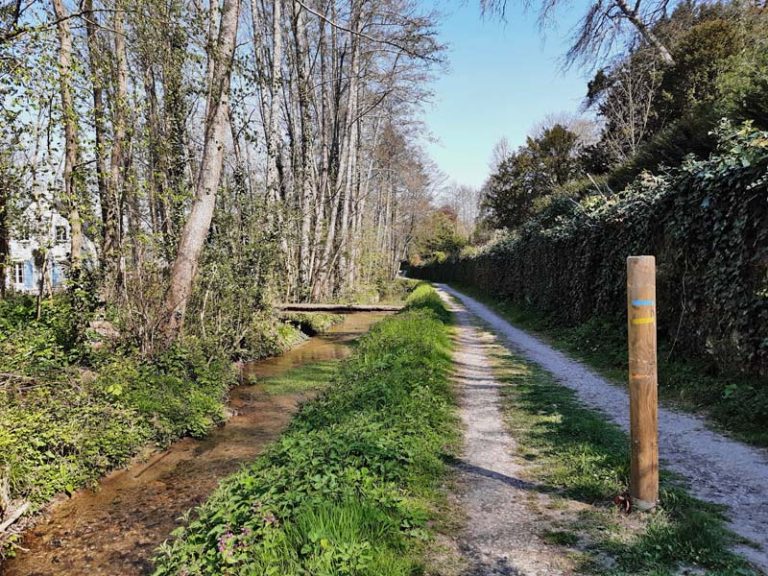 Sentier entre Loire et vignes-3