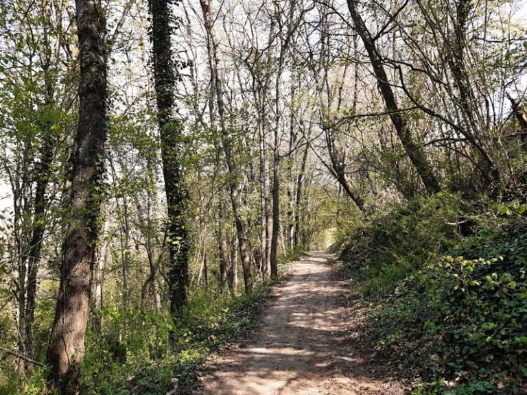 Sentier entre Loire et vignes-5