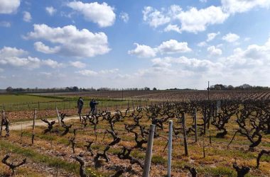 sentier_randonnee_rochecorbon_loire_vignes_adt_touraine_jerome_huet_2031 (20)